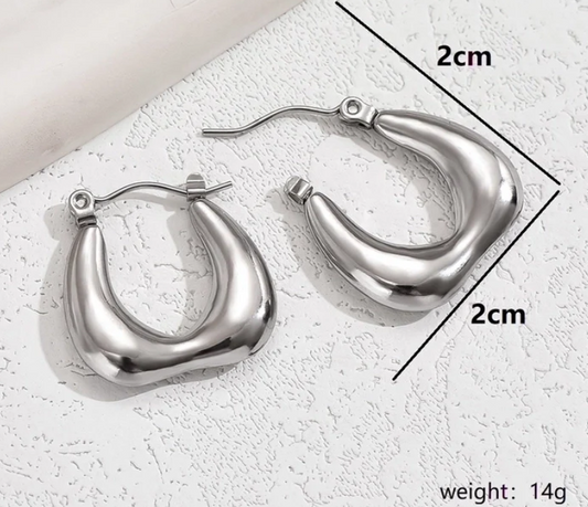 Bolsa Earrings Silver